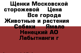 Щенки Московской сторожевой  › Цена ­ 25 000 - Все города Животные и растения » Собаки   . Ямало-Ненецкий АО,Лабытнанги г.